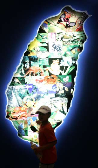 A child looks inside a tunnel made out of books during the "Diversity of Taiwan 2006" exhibition in Taipei, July 30, 2006. [Reuters]