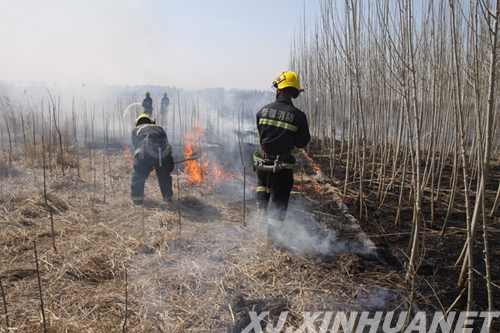 Xinjiang's forest rangers fight fire with funding