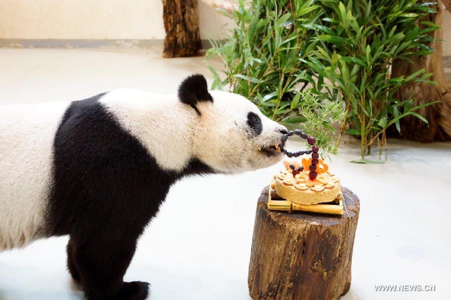 #CHINA-TAIPEI-PANDA-BIRTHDAY(CN)