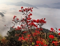 Mountain scenery in E China's Anhui
